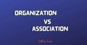 Read more about the article Association and Organisation: Differences and Features