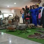 Natural History Museum