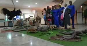Read more about the article Natural History Museum at OAU, Ile-Ife, Interesting Facts