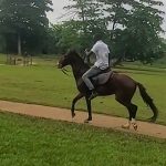 Agodi Gardens Ibadan