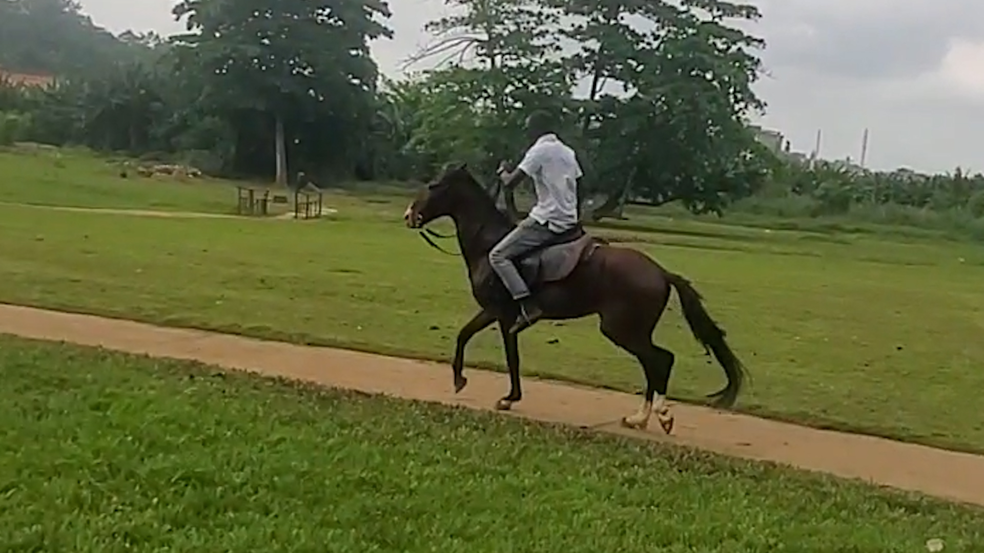 You are currently viewing Agodi Gardens Ibadan