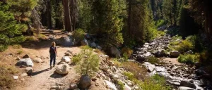 Wellness Tourism: Retreats and Healing Travel: A Full Guide for 2026 3 Wellness Tourism