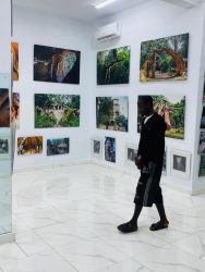 Read more about the article Nike Art Gallery Akoda-Ede