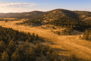 Read more about the article Wind Cave National Park 