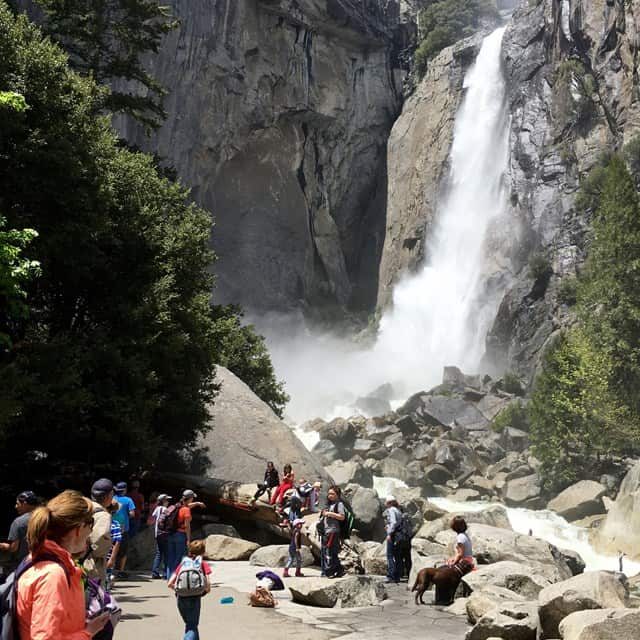 Best Time to Visit Yosemite National Park