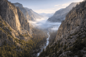 Read more about the article Kings Canyon National Park