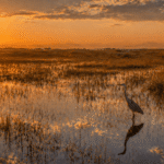 Everglades National Park