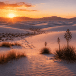 White Sands National Park