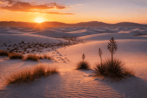 Read more about the article White Sands National Park