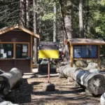 Camping at Yosemite National Park