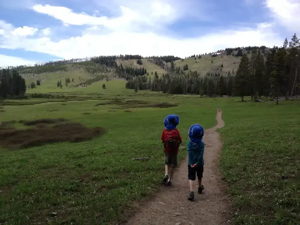 best hikes in Yellowstone National Park
