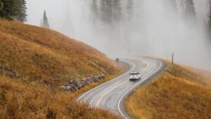 Read more about the article How to get to Yellowstone National Park