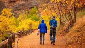Read more about the article Best Hikes in Zion National Park