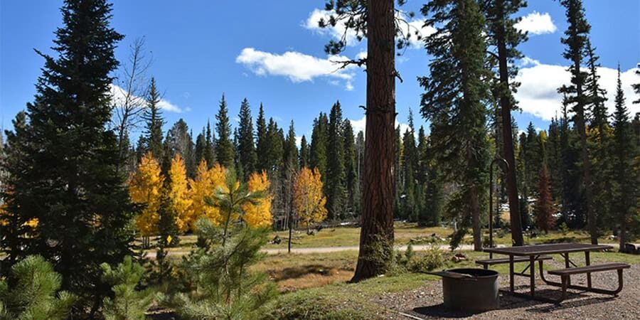 Camping at Grand Canyon National Park