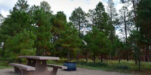 Read more about the article Camping at Grand Canyon National Park: Guide