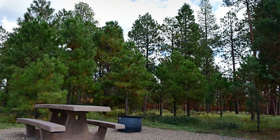 Read more about the article Camping at Grand Canyon National Park: Guide