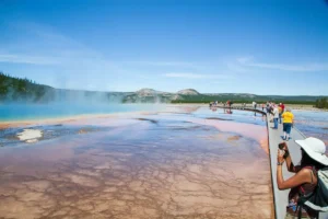 Read more about the article Best time to visit Yellowstone National Park