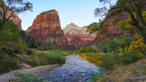 Read more about the article How to get to Zion National Park