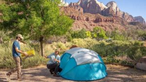 Read more about the article Best Hotels Near Zion National Park