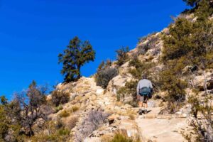Read more about the article Best hikes in Grand Canyon National Park