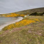 visit the falkland islands