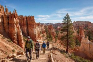 Read more about the article Best hikes in Bryce Canyon National Park